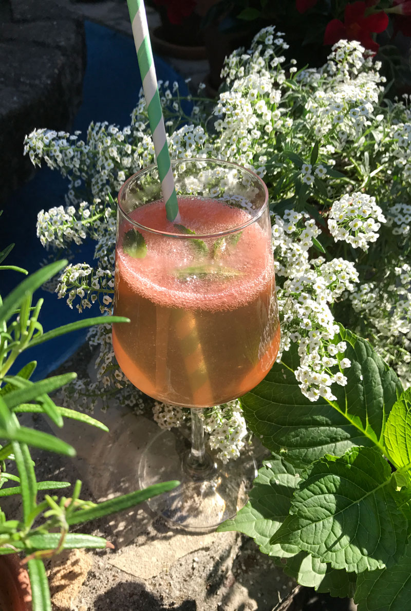 prosecco-melone1
