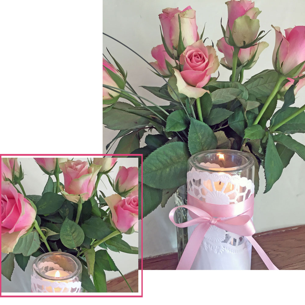 rosa-rose.jpg