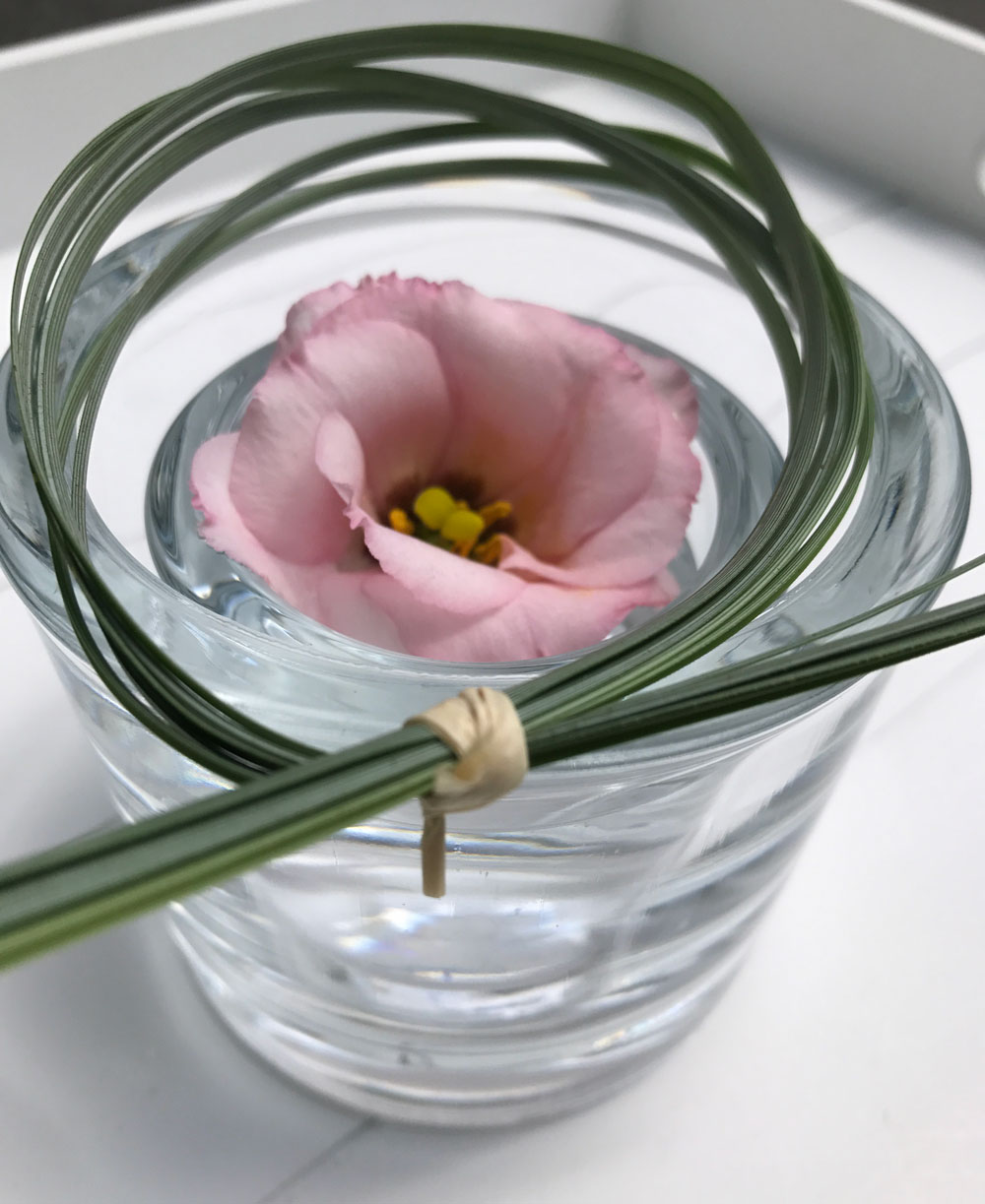 blume-rosa1