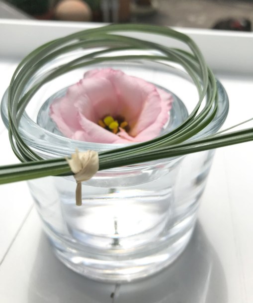blume-rosa4.jpg