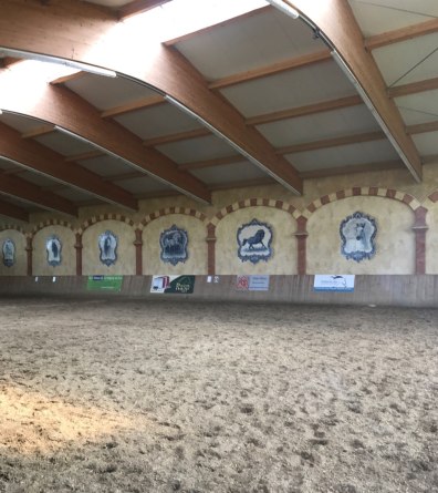 turnier12.jpg