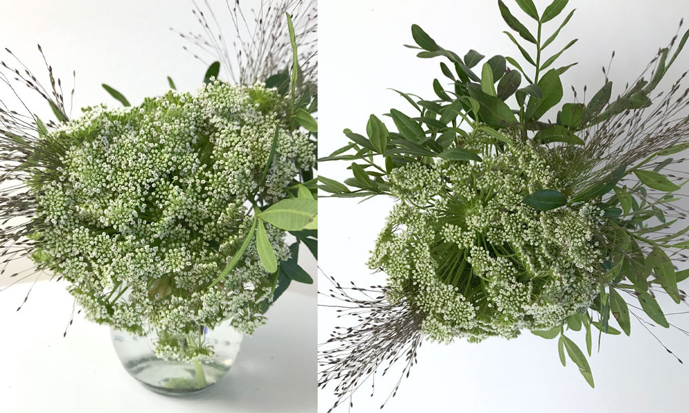dill-coll
