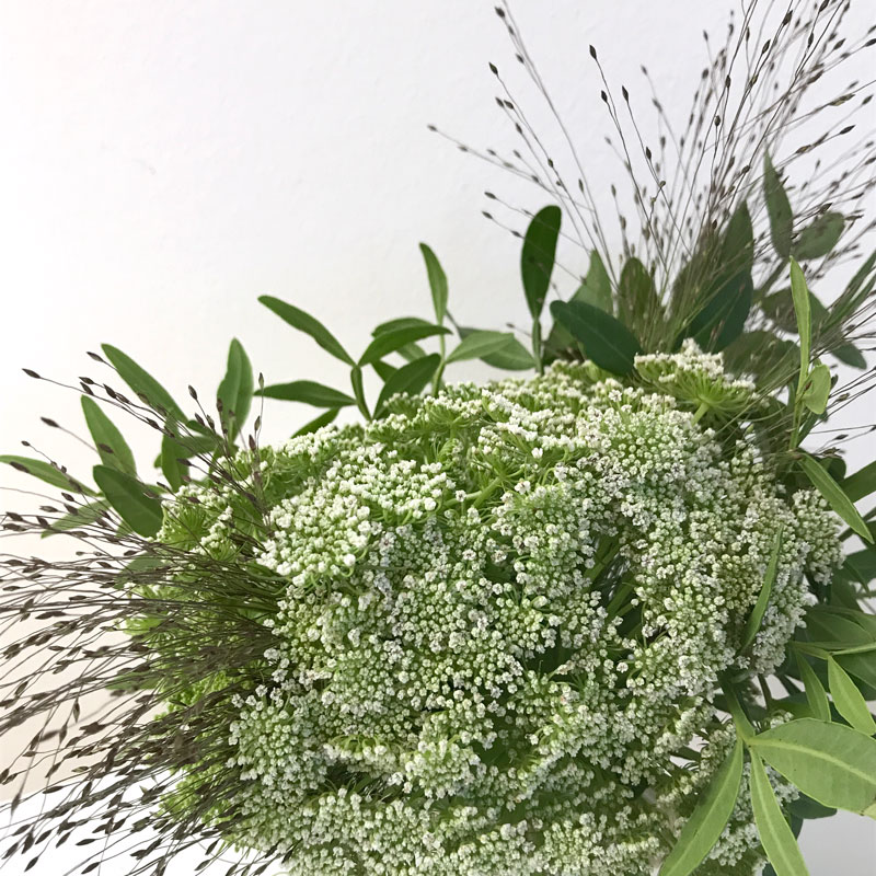 dill5