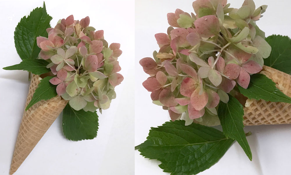 eis-coll1.jpg