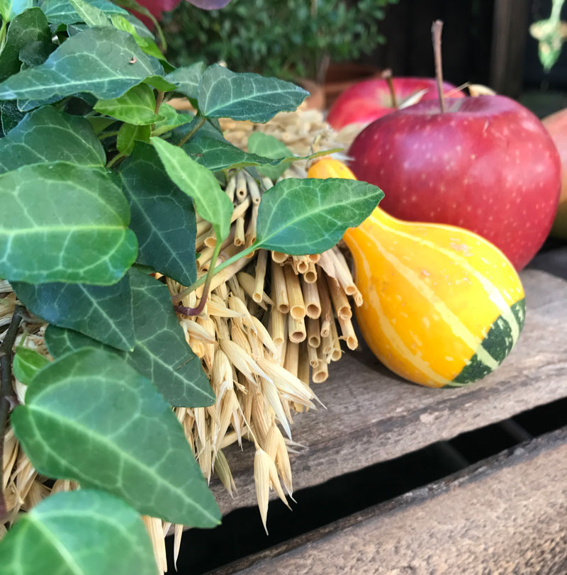 herbst-mit-apfel3.jpg