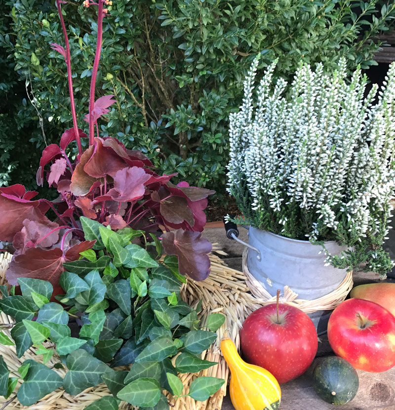 herbst-mit-apfel4.jpg