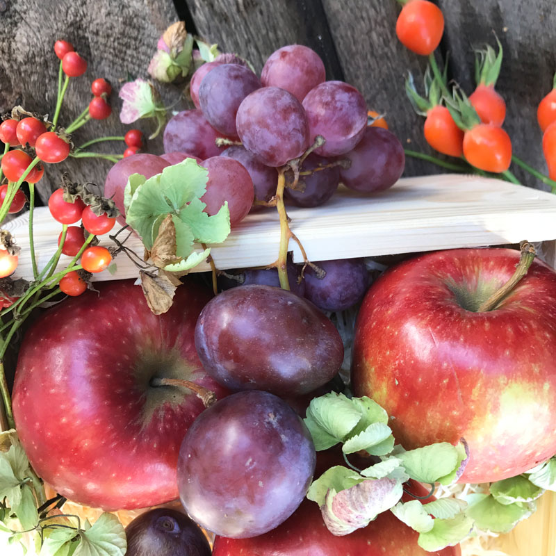 obst11.jpg