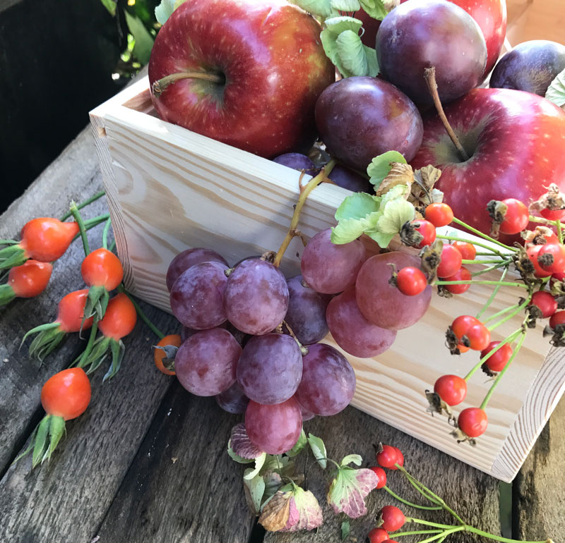 obst15.jpg