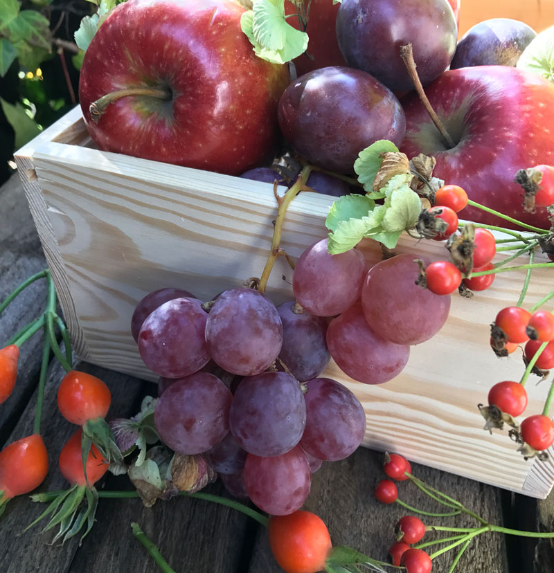 obst17.jpg