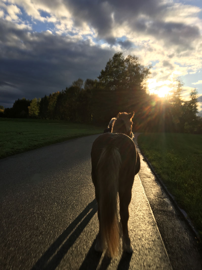 sonnenlicht
