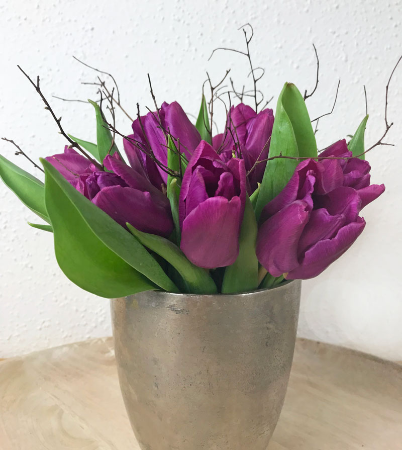 tulpen26.jpg