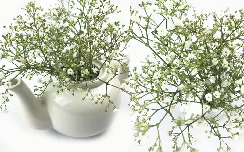 schleier-coll Kopie.jpg