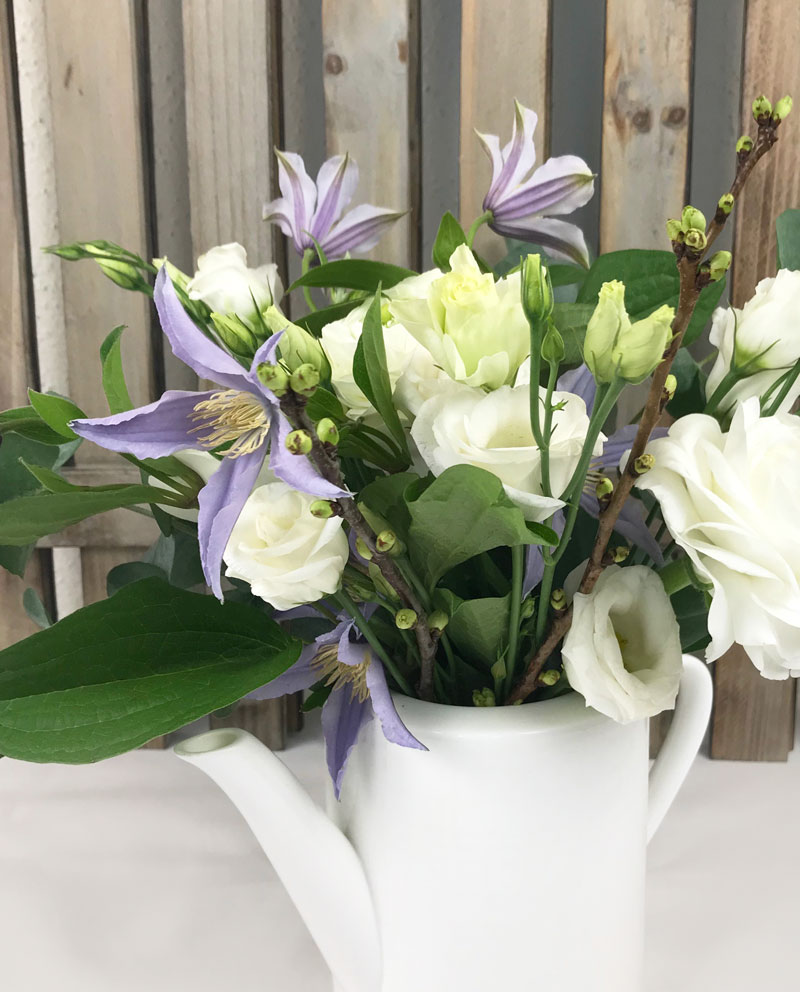 clematis.jpg