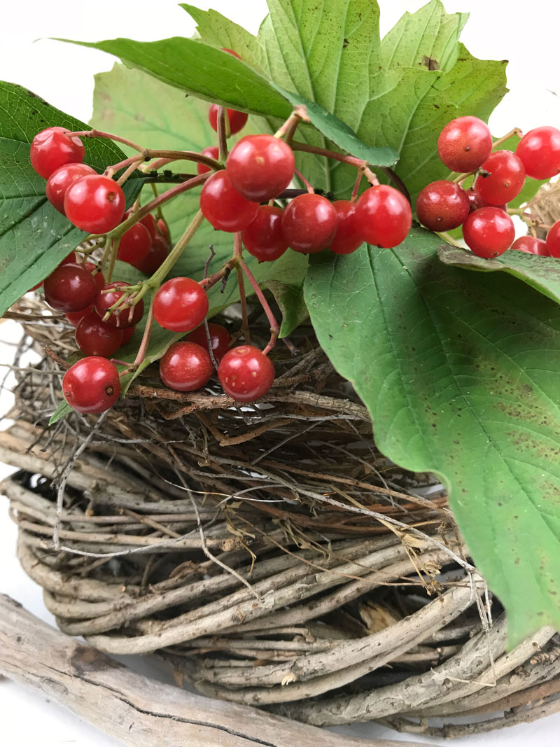 beeren9.jpg