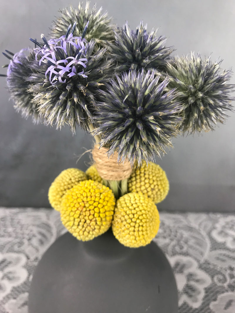 distel0231.jpg