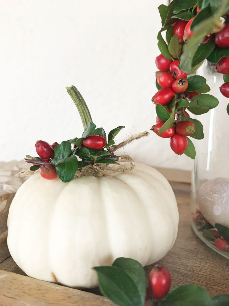 herbst6