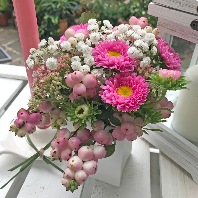 rosa11.jpg