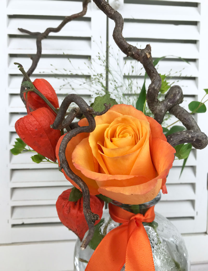 rose987.jpg