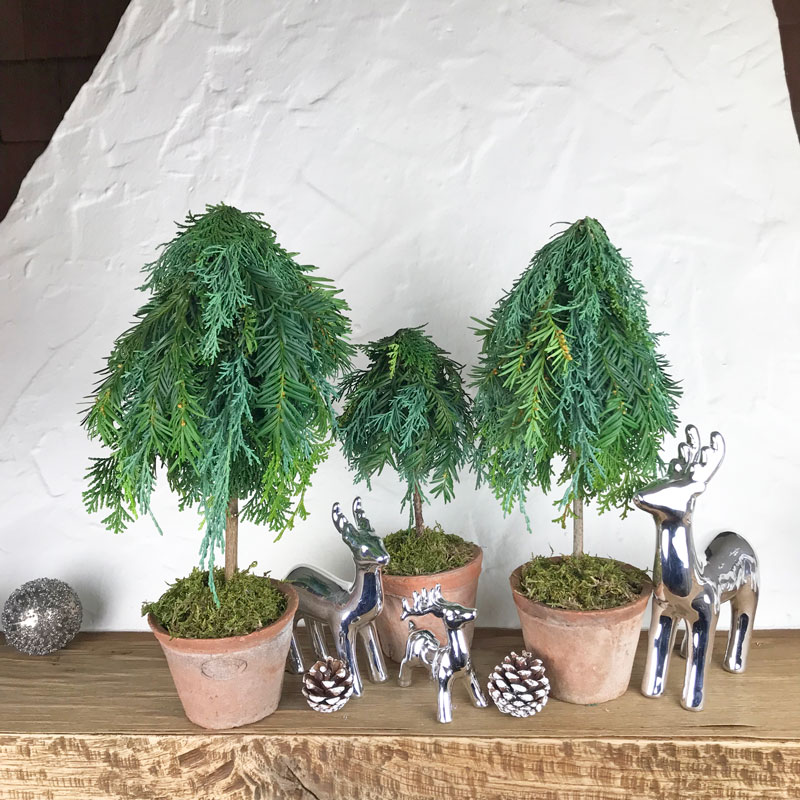 tree013.jpg