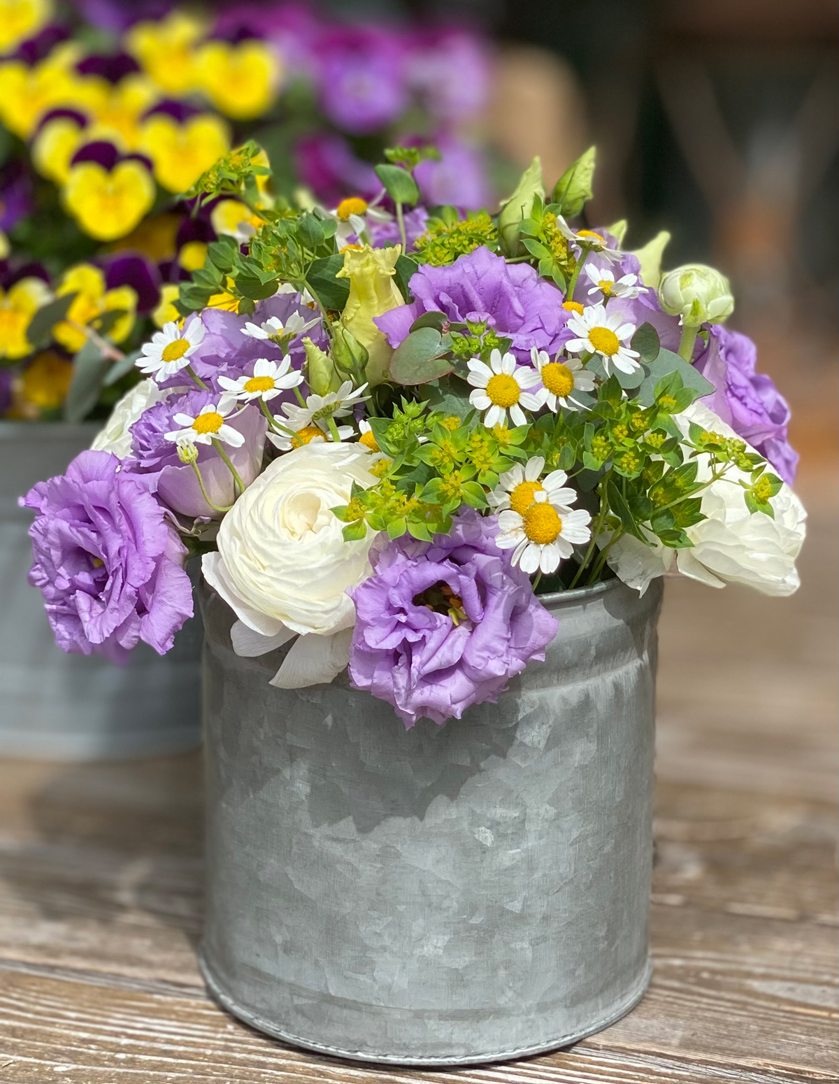 Lila Weiss Blumen